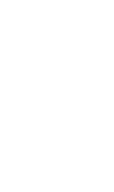 Sellman Insurance Group logo